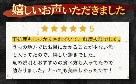 【3回定期便】朝獲れ！平戸地魚詰合せ定期便【平戸瀬戸市場協同組合】[KAA303]/ 長崎 平戸 魚介類 魚 鮮魚 内臓処理 下処理 旬魚 海鮮 定期便