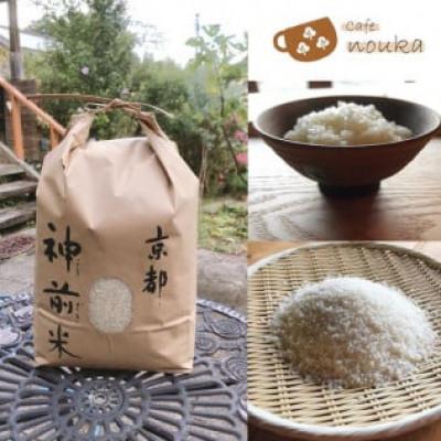 ふるさと納税 亀岡市 【毎月定期便】京都・神前米 キヌヒカリ 10kg×全3回 |  | 03