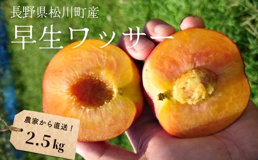 KM09-25A 桃 早生ワッサー 約2.5kg（8～12玉） ／7月下旬～8月上旬頃 発送 //長野県 南信州 松川町 モモ もも ネクタリン 贈答  硬め かため 約3kg
