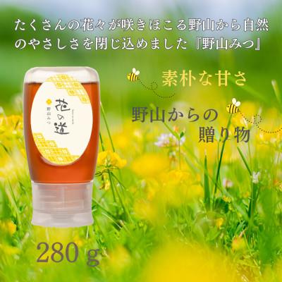 ふるさと納税 八女市 野山みつ　280g