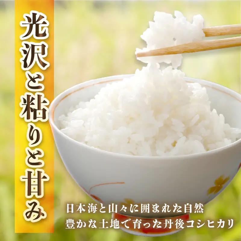 新米 令和7年産／京丹後市産 コシヒカリ 精米 白米5kg こめ ふるさと納税 コシヒカリ 精米 米 精米 白米 2025 年 京都産