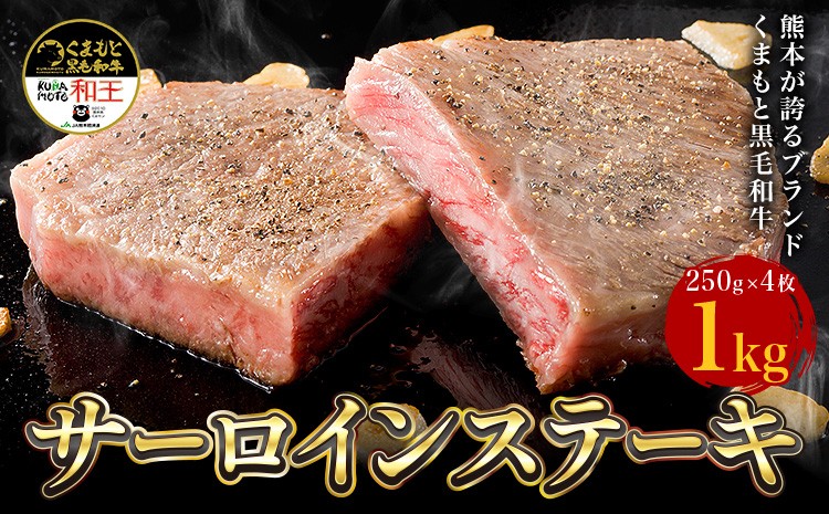 
                  熊本県産 黒毛和牛 サーロイン ステーキ 計1kg（250g×4）《90日以内に出荷予定(土日祝除く)》 熊本地震復興支援 国産 牛肉 
                
