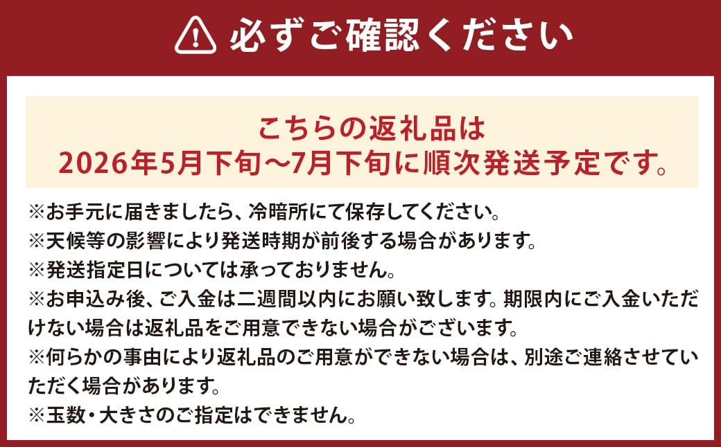 訳あり 小玉すいか 2玉 約2～3kg 送料無料 熊本すいか すいか 西瓜 ひとりじめ 果物 フルーツ 【2026年5月下旬～7月下旬発送予定】