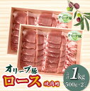 【ふるさと納税】香川県産 オリーブ豚 ロース 焼肉用 1000g 22000円