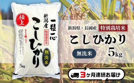 48-7M053【3ヶ月連続お届け】【無洗米】新潟県長岡産特別栽培米コシヒカリ5kg