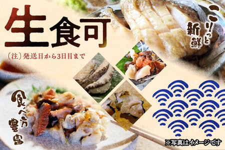 海鮮 サザエ あわび詰合せ 計12～15個 海鮮 セット 【033_1775】