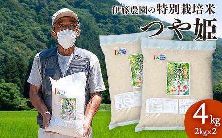 【令和7年産】特別栽培米 つや姫 4kg（2kg×2袋） 山形県 鶴岡市 伊藤農園（伊藤嘉吉）