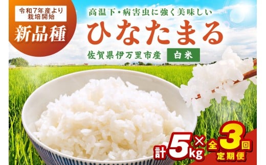 【定期便】伊万里産米 ひなたまる 白米5kgｘ3回 999-B889
