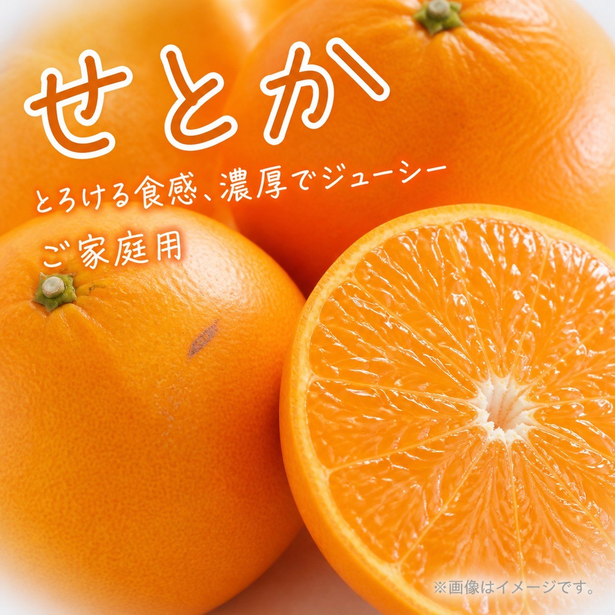 
                  紀州有田産せとか 約3kg ［ご家庭用］とろける食感！ジューシー柑橘［2026年2月下旬以降発送］［先行予約］［UT133］
                