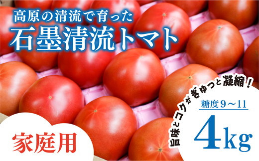 【家庭用】石墨清流 トマト 4kg｜糖度9～11度 そのままでも 美味しい 久万高原町 トマト とまと 自然栽培 野菜 カレー トマトソース 濃縮 ヒナタ 安心 酸味 甘味 清流 料理 農家 旨み サンドイッチ 新鮮 煮込み 料理 アレンジ 美味しい 手作業 人気 ギフト プレゼント 自然 小長谷勝也 愛媛 ※2026年7月下旬頃より順次発送予定