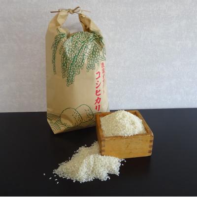 ふるさと納税 いわき市 令和7年産福島県産コシヒカリ　20kg(精米)