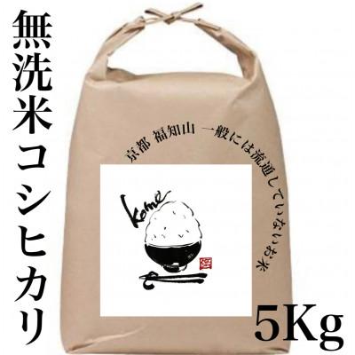 ふるさと納税 福知山市 【無洗米】5kg 京都産 精米 コシヒカリ 流通していない 特別なお米