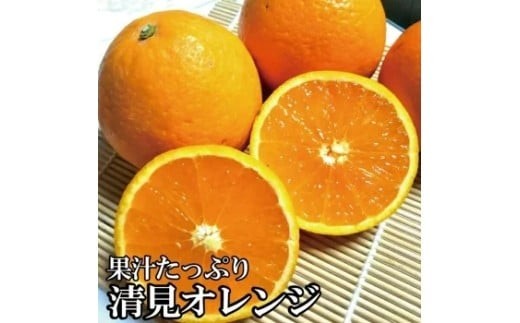 
                  【農家直送】果汁たっぷり！清見オレンジ 約5kg  有機質肥料100%　 サイズ混合　※2026年3月～4月に順次発送予定（お届け日指定不可）【nuk112C】
                