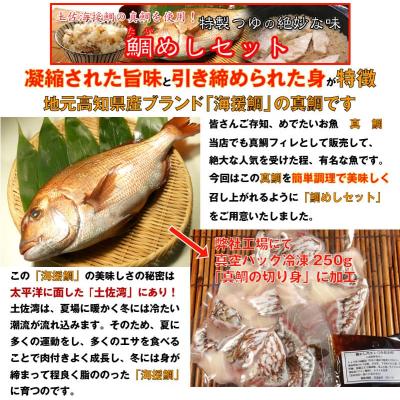 ふるさと納税 香美市 真鯛炊込み飯の素　3合炊き用(濃縮タレ付) |  | 02