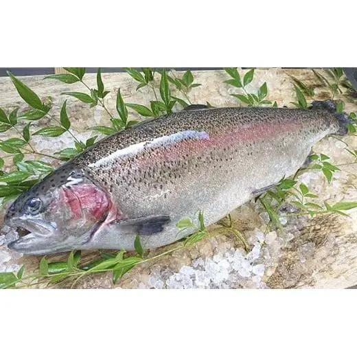 【定期便3回】産地直送栃木県のブランド魚「プレミアムヤシオマス」の刺身 200g [ 冷凍便 ] | 魚 ます 養殖 産地直送 栃木県 (毎月お届け）