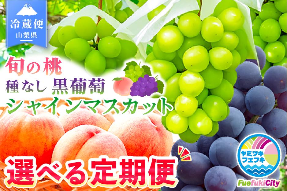 
            【2026年発送 先行予約】 【定期便】 旬のフルーツ定期便 選べる もも シャイン マスカット 黒ブドウ ぶどう 果物  フルーツ 山梨 笛吹市 180-022
          