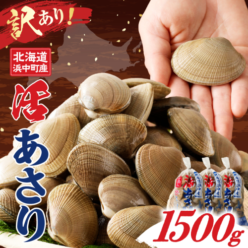 【訳あり】1月～3月発送分《先行予約・期間限定》浜中町産活あさり(500g×3袋セット)_H0023-050