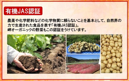 【訳あり】有機栽培さつまいもの岬ちゃん5kg（品種：紅はるか）_2357R