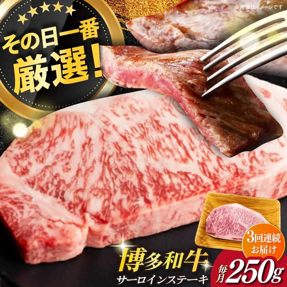 サーロイン 【全3回定期便】 博多和牛A4以上サーロインステーキ250g×1枚 [ABBP045]