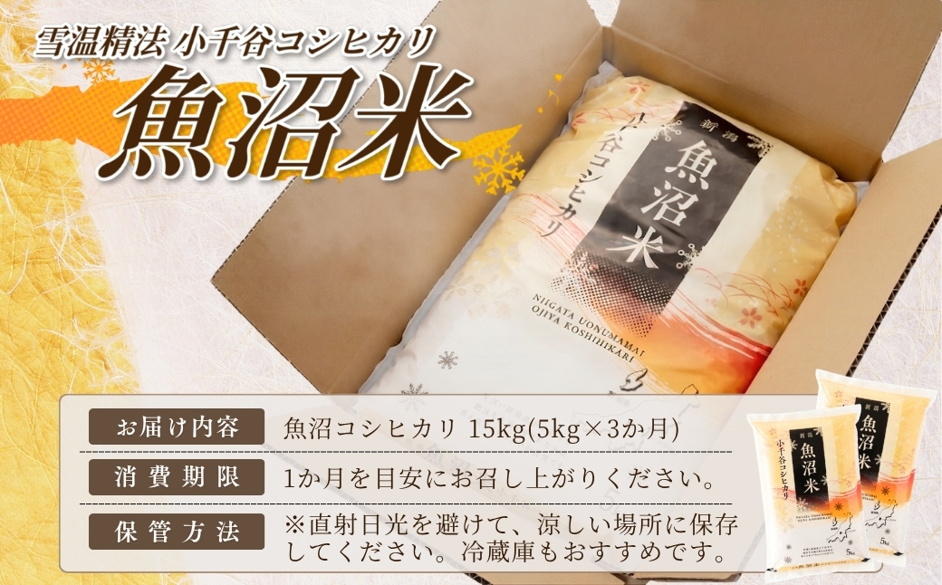 【3か月定期便(毎月全3回)】 令和7年産 魚沼産コシヒカリ 5kg×全3回 雪室貯蔵 吉兆楽 【0038-0005DB00-01】