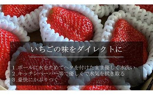 超特大いちご(紅ほっぺ)　460g以上(6〜7粒、１粒65g以上)・O037-17／オオダケイチゴ 