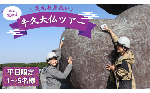 
地上20ｍ 牛久大仏 足元 お身拭い 体験 ツアー ※ 平日限定 ※ （ 5名様まで ） 貸切 参加券 体験チケット 観光 ふるさと納税限定
