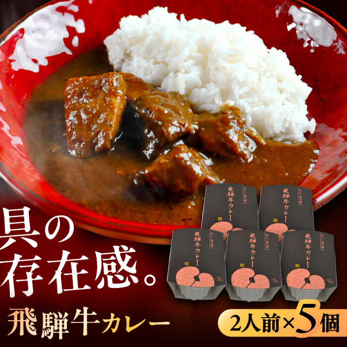 【ふるさと納税】-あふひ 贅の極み- 飛騨牛カレー 2人前×5個セット / レトルト カレー 牛肉 和牛 ブランド牛 高級用 人気 おすすめ 簡単 調理 長期保存 カレー カレーライス レトルトカレー ビーフカレー 保存食 /恵那市/テンポイント[AUEU004]