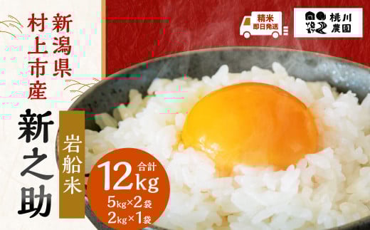 【精米即日発送】【令和7年産米】新潟県村上市産  特別栽培米　新之助 12kg B4073