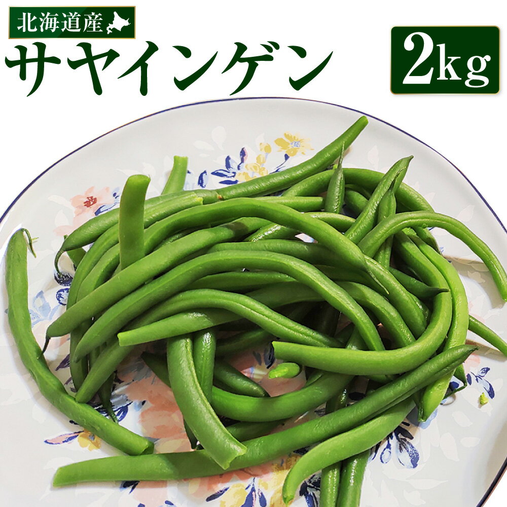 【ふるさと納税】 北海道産 サヤインゲン 2kg さやいんげん 野菜 やさい 新鮮 料理 胡麻和え マヨ和え 炒め物 天ぷら お弁当 スープ 冷蔵 国産 北海道 豊浦町 送料無料 【2026年7月下旬～10月下旬発送予定】