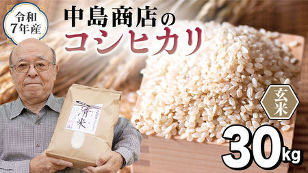 令和8年産 茨城県産 玄米 コシヒカリ 30kg（30kg×1袋）
