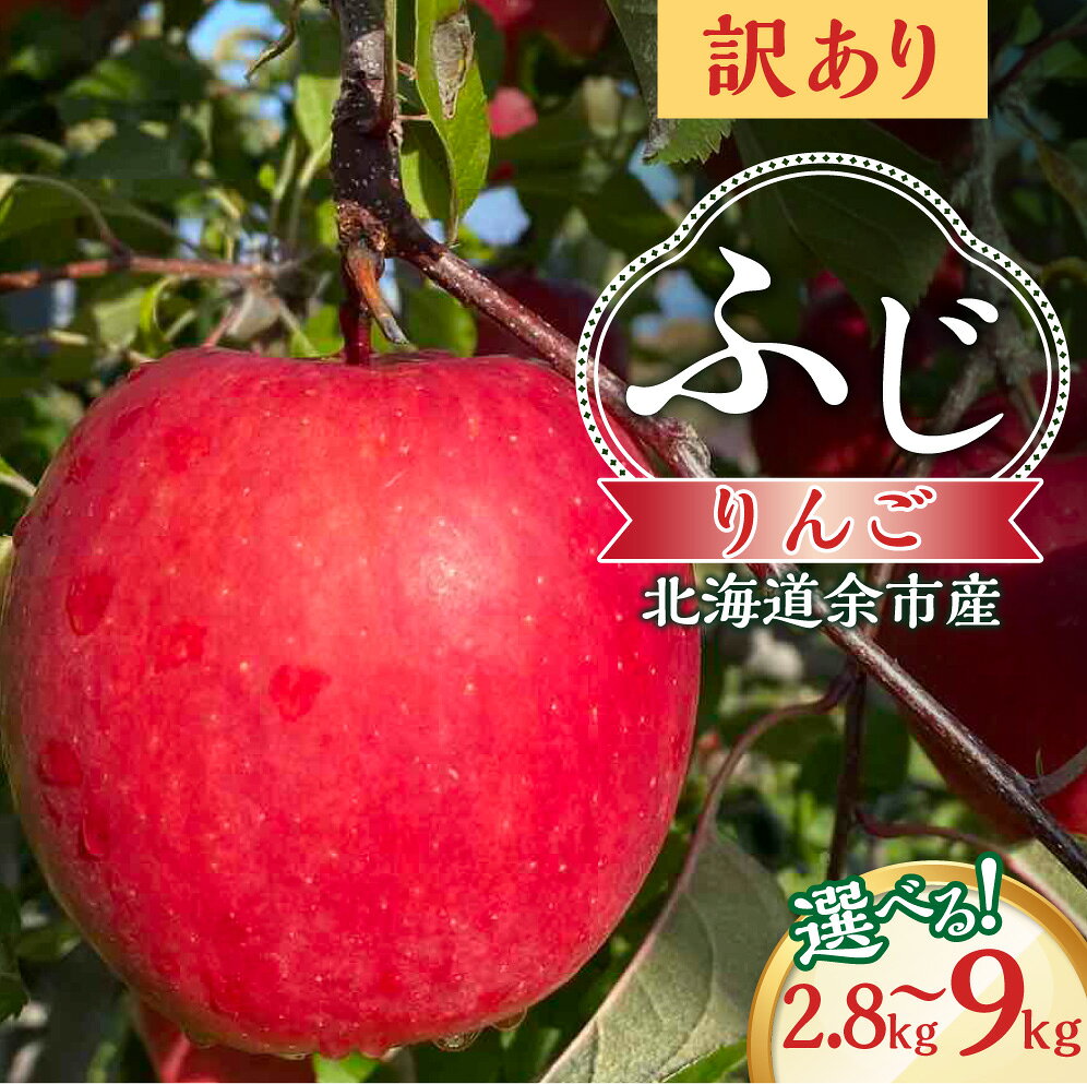 【ふるさと納税】【先行予約：2026年12月上旬より発送】 ＼ 内容量が選べる ／ 訳アリ りんご（ふじ） 【北海道余市町産】 パリッとジューシー 北海道産 りんご予約 北海道りんご 高糖度 酸味 甘味 バランス 果肉 果物 フルーツ 旬 北海道 余市町 送料無料