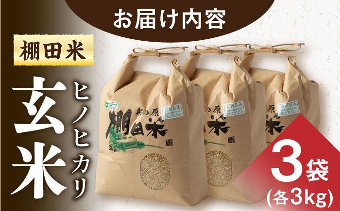 【自然農法で育てた特別栽培米】令和5年産 ヒノヒカリ 玄米 9kg（3kg×3袋）/永尾 忠則 [UAS007] 棚田米 棚田玄米 米 お米