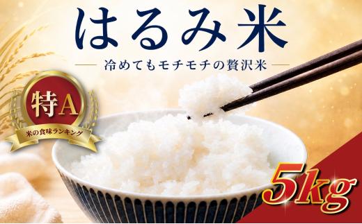 米 はるみ 5kg 【 令和8年産 】 白米 お米 新米 数量 限定 はるみ ごはん こめ コメ はくまい 令和8年産米 精米 ブランド米 日用品 農家直送 飯島ファーム R8年産プレゼント お取り寄せ 仕送り ギフト 人気 神奈川 海老名