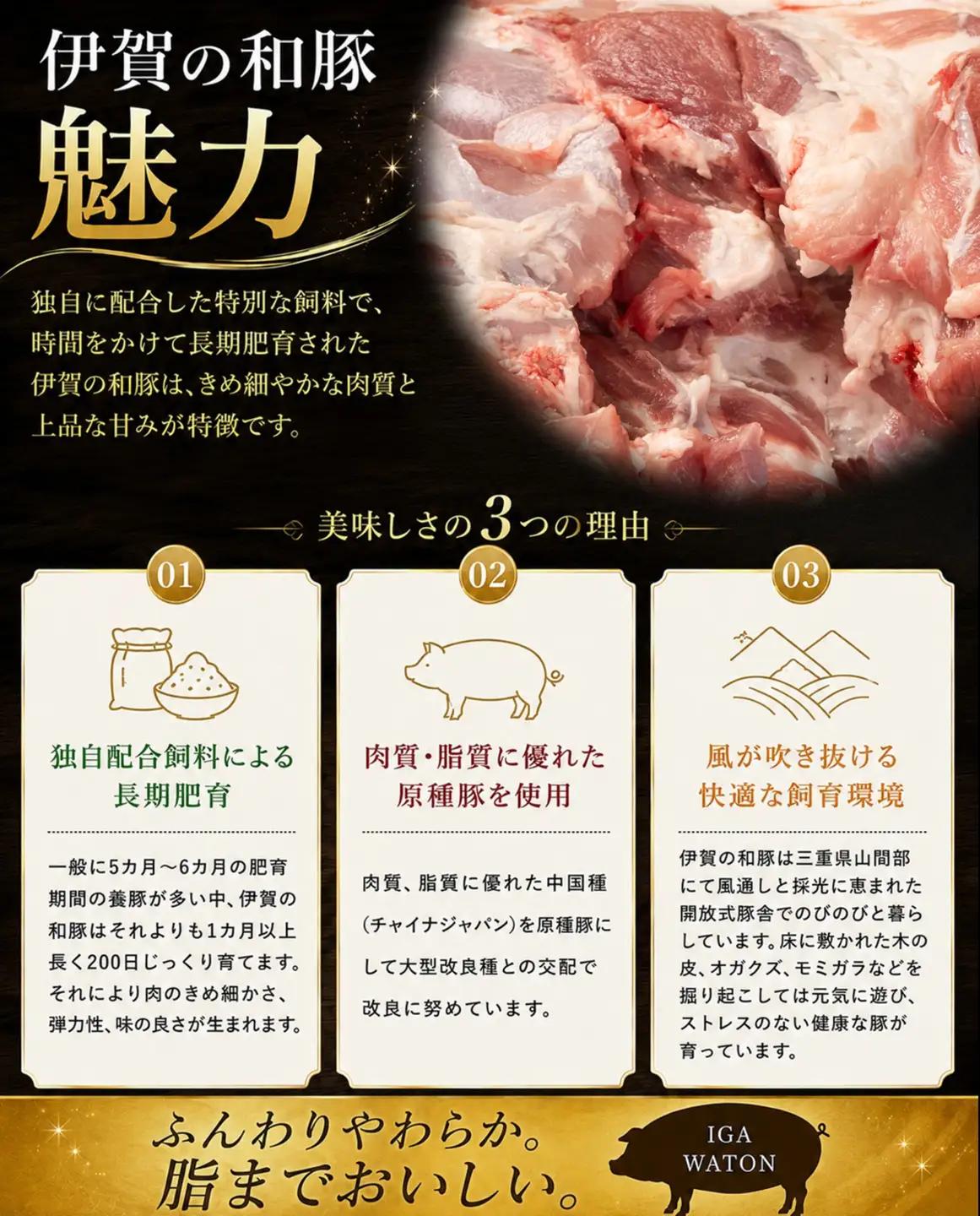 豚肉 【訳あり・大容量】和豚 ウデブロック 5kg 豚肉 [BW100-2511]