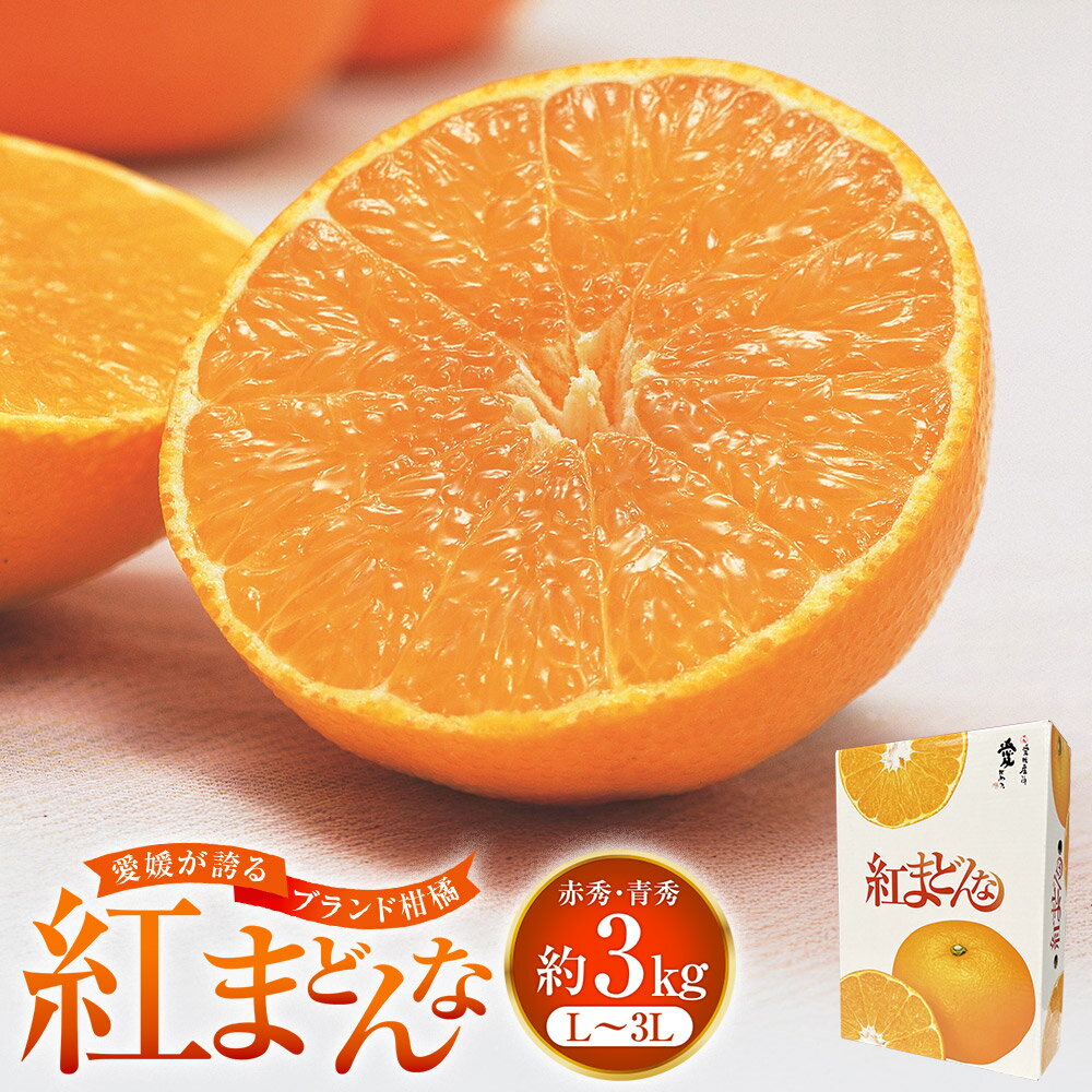 【ふるさと納税】「愛媛が誇るブランド柑橘」 紅まどんな 約3kg 先行予約 数量限定 国産 愛媛県産 みかん ミカン 蜜柑 オレンジ 柑橘 フルーツ 果物 お取り寄せ 送料無料 【2025年11月下旬-12月下旬発送予定】 (553-1)
