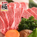 【ふるさと納税】飛騨市推奨特産品飛騨牛　BBQ　飛騨牛・鶏肉・豚肉 バラエティセット 牛肉 和牛 肉 熨斗掛け[E0014]40000円