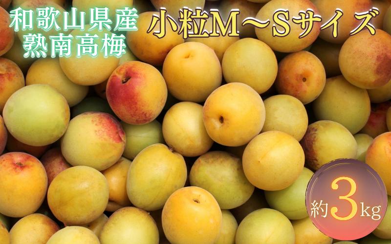 
                  【梅干・梅酒用】紀州和歌山県産 熟南高梅 生うめ 優品 約３kg (S、Mサイズおまかせ)+3%増量＜2027年6月上旬～7月上旬頃発送予定＞/ 梅干し 梅酒 ウメシロップ ジュース ジャム他 紀州熟南高梅 青梅 黄梅 朝採り フルーツ 果物 くだもの 食品 人気 おすすめ 【クール便送料無料】
                