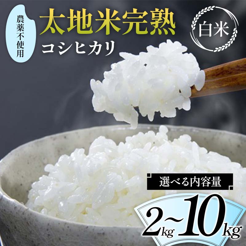 【ふるさと納税】＼選べる内容量／ 2024年産 農薬不使用 太地米完熟 【こしひかり】 白米 2kg 3kg 5kg 10kg ブランド米 お米 精米 白米 人気 F7X-0327var