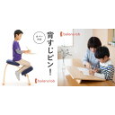 【ふるさと納税】バランス イージー(カバー付き)とイージーライティングボードMのセット　 インテリア 家具 姿勢矯正 姿勢が良くなる椅子 姿勢が気になる 日本製造 書籍が見やすい 文字が書きやすい