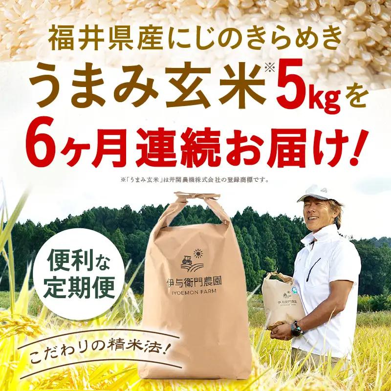 【先行予約】【令和8年産】定期便 ≪6ヶ月連続お届け≫ にじのきらめき うまみ玄米 5kg×6回 ／ 鮮度抜群 30キロ 福井県あわら産 玄米 お米 ※2026年10月上旬より順次発送 [aw071-
