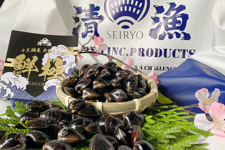 十三湖産 大和しじみ -鮮極- 大貝 1kg (500g×2パック)｜ヤマトシジミ貝 青森 津軽 十三湖 つがる みそ汁 冷蔵 生しじみ しじみ 貝 国産 大粒 しじみ汁 [0764]