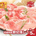 宮崎県産豚切落し5kg(500g×10パック) 訳あり