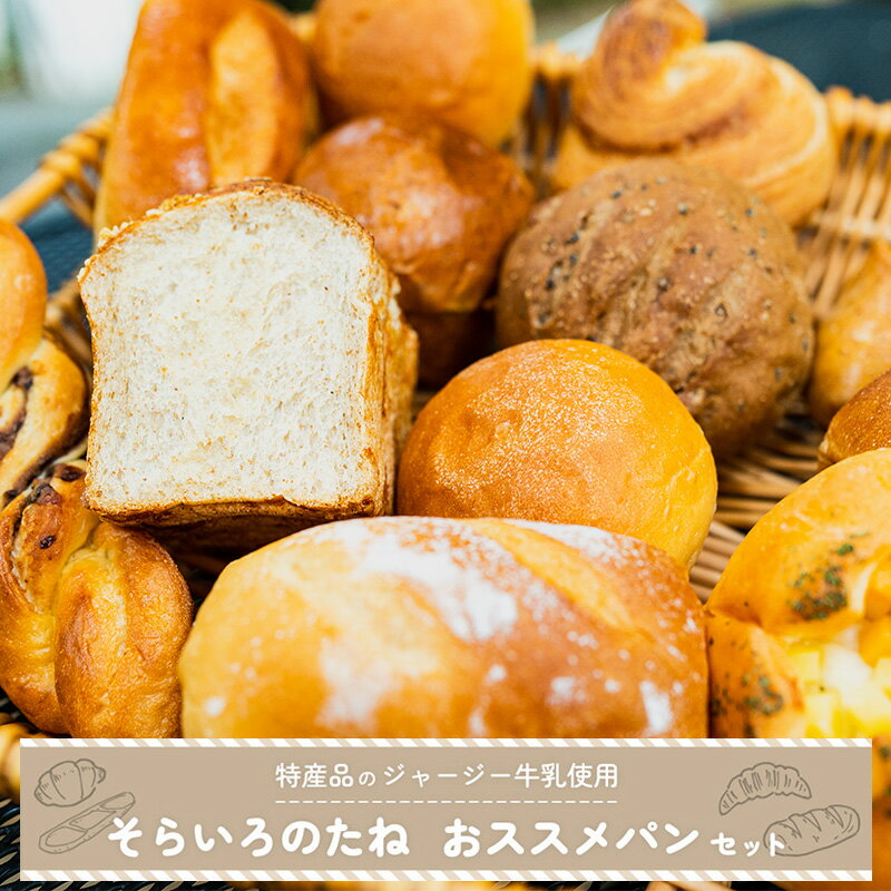 【ふるさと納税】そらいろのたね 熊本 阿蘇 小国町 わいた 山川 手作りパン パンセット 詰め合わせ レーズン クロワッサン ジャージーミルク 木の実 チーズ クリーム セット 人気 ハンドメイド 創業20数年 老舗 ツリーハウス 冷凍 送料無料【地場産品：類型3】