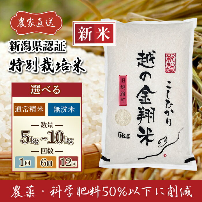 【ふるさと納税】新米予約 令和7年産 米 無洗米 定期便 5kg 10kg 新潟 コシヒカリ 精米 白米 お米 選べる 1回 6回 12回 6ヶ月 12ヶ月 新潟こしひかり 【越の金翔米】新潟県長岡産 特別栽培米 コシヒカリ（アグリカンパニーこしじ）