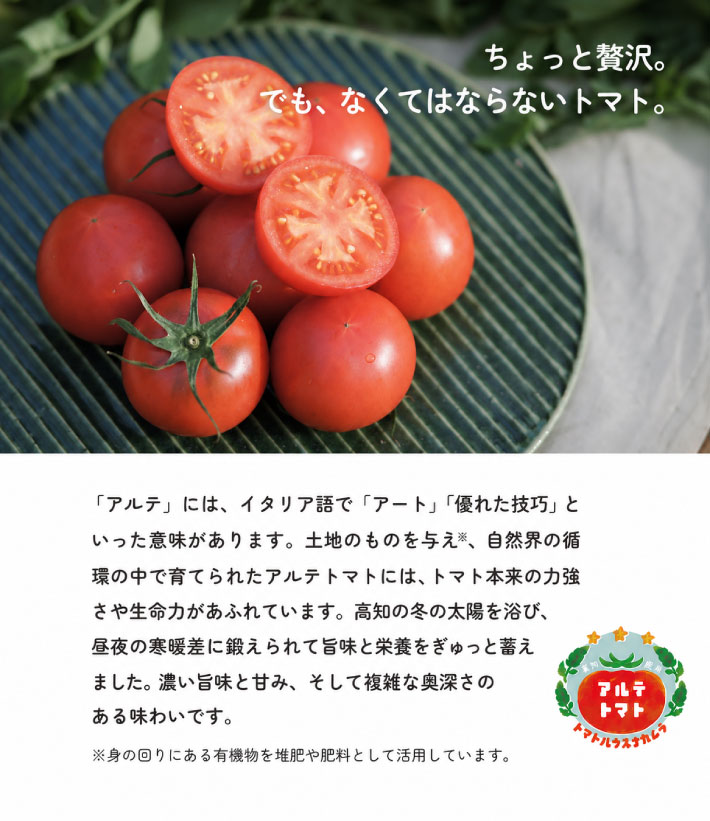 ＜2026年1月～5月頃発送＞【定期便3回】＜アルテトマト 約800g（10‐16玉）×3箱＞計約2.4kg フルーツトマト 栽培期間中化学農薬・化学肥料不使用 高知県 トマトハウスナカムラ 佐川町