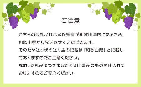 ぶどう［2024年先行予約］晴王 シャインマスカット 1房＆ニューピオーネ 1房（各500g以上）詰め合わせ 岡山県産 [No.5220-1193]
