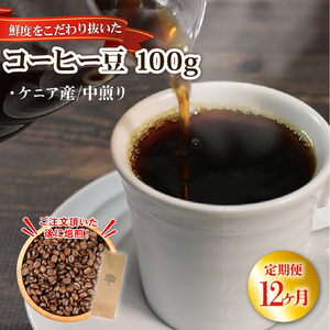 12ヶ月 定期便 コーヒー 豆 100g ケニア 中煎り 自家焙煎 コーヒー豆 注文焙煎 ストレートコーヒー アイスコーヒー coffee エスプレッソ カフェオレ 朝食 岩手県 大船渡市