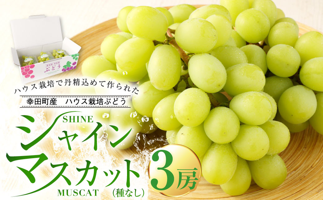 
            幸田町産 ハウス栽培ぶどう「シャインマスカット（種なし）」3房 ぶどう ブドウ マスカット グレープ【着日時指定不可】【北海道・沖縄県・離島への配送不可】 果物 フルーツ
          