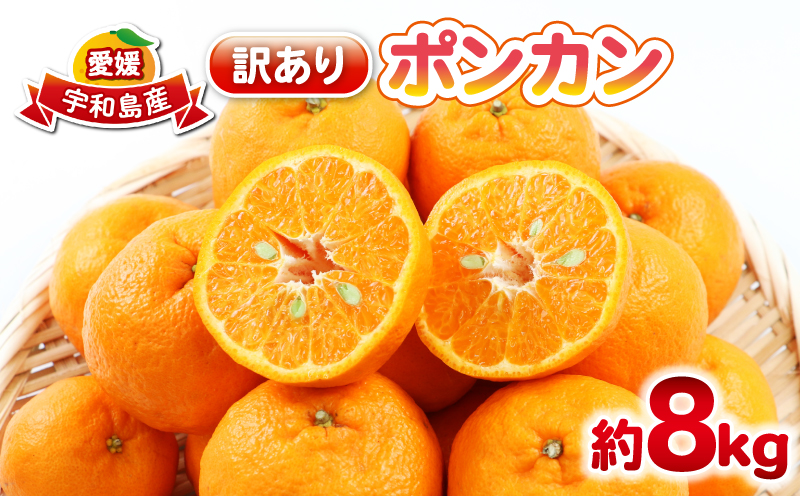 ポンカン 8kg 訳あり ぽんかん 杉本屋  訳あり品 mikan みかん デザート 甘い 果物 くだもの フルーツ 柑橘 みかん 蜜柑 ビタミン お取り寄せ 愛媛みかん 愛媛蜜柑 愛媛県産 産地直送