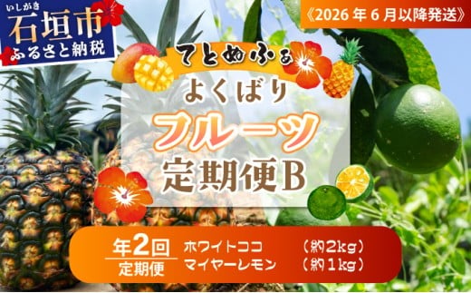 マツコの知らない世界で紹介！幻のホワイトココ＆青切りマイヤーレモンの定期便 年2回に分けてお送りします《2027年6月以降発送》| 先行予約 パイナップル レモン ホワイトココ マイヤーレモン フルー